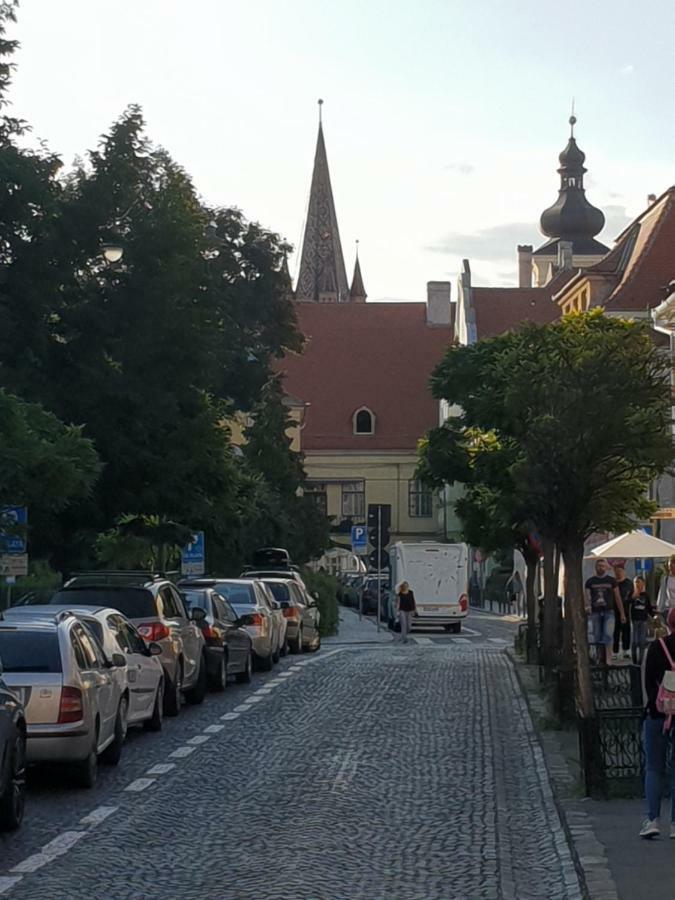 Stefy Central Sibiu Dış mekan fotoğraf